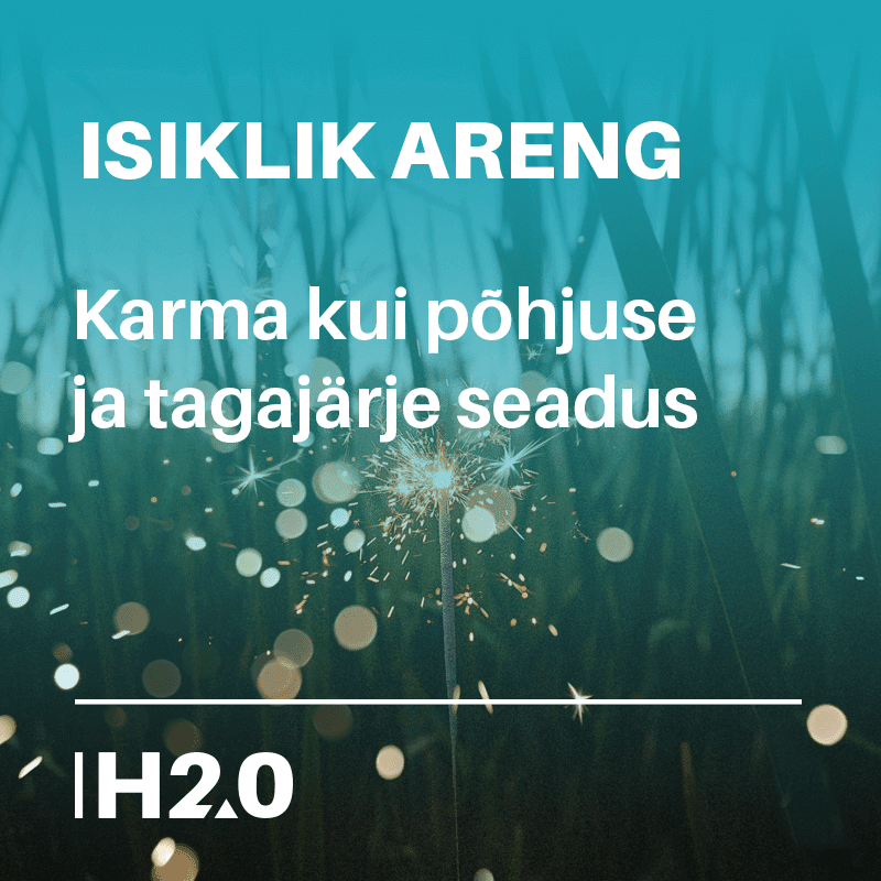 isiklik_areng_karma_pohjus_tagajarg